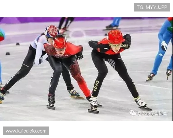 国际滑联对冰面硬度的多点采样系统测